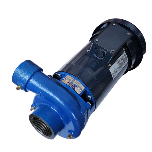 2HP Pivot Booster Pump